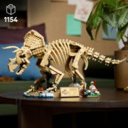 Obrázek Dinosauří fosilie: Triceratops