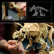 Obrázek Dinosauří fosilie: Triceratops