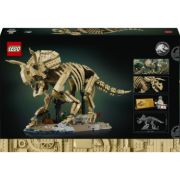 Obrázek Dinosauří fosilie: Triceratops