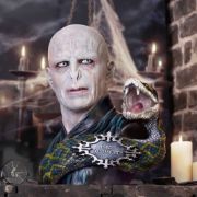 Obrázek Busta Lord Voldemort (30 cm)