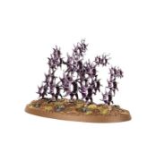 Obrázek HEDONITES/SLAANESH: ACCURSED REFLECTION