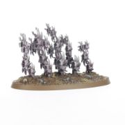 Obrázek HEDONITES/SLAANESH: ACCURSED REFLECTION