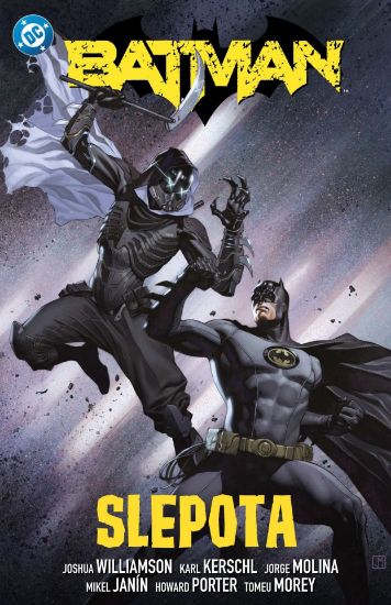 Batman 7: Slepota