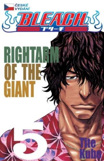 Bleach 05 - Rightarm of the giant