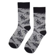 Obrázek Ponožky - Dinosauři