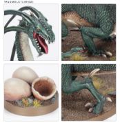 Cave Drake