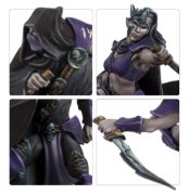 Dark Elf Assassins