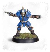 Human Team: Reikland Reavers