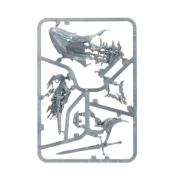 Knight of Shrouds