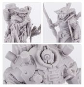 Mercator Nautica Syphoning Delegation