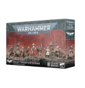 Rogue Trader Entourage and Voidsmen-at-Arms