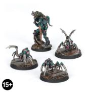 Van Saar Champion in Carapace Armour with Cyberachnids