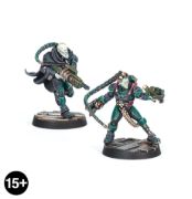Van Saar Champions in Mesh and Flak Armour