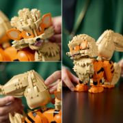 Obrázek Arcanine