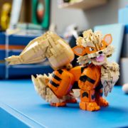Obrázek Arcanine