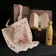 Sada Harry Potter - Pobertův plánek