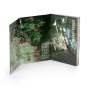 Codex: Orks
