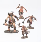 Stomper Tribe