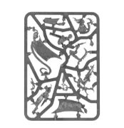 Haemonculus