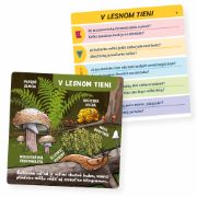 Obrázek Kvído - Priroda v kocke SK