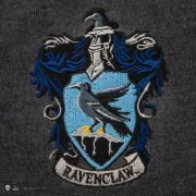 Obrázek Svetr Harry Potter - Znak Havraspáru – XS