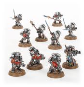 Grey Knights Purgation Squad