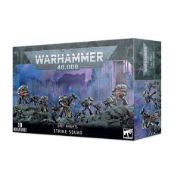 Grey Knights Purgation Squad
