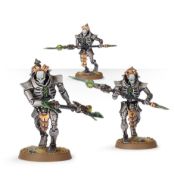 Lychguard