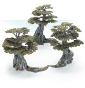 Woods