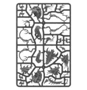 Zoanthropes