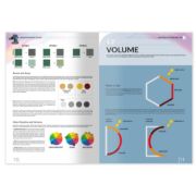 Obrázek IONIC - Encyclopedia of Wargames Vol.5 - Advanced Painting: Figures (English)