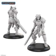 Obrázek Starfinder - Knight of Golarion