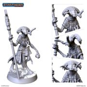 Obrázek Starfinder - Kaskodai the Mystic