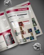 Obrázek Wolfenstein: the Board Game (EN)