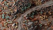 Obrázek GamersGrass - Chaos Wasteland Basing Box