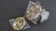 Obrázek GamersGrass - Winter - Oval 170mm (x1)