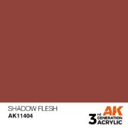 Obrázek AK Interactive - Shadow Flesh