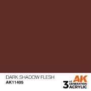 Obrázek AK Interactive - Dark Shadow Flesh